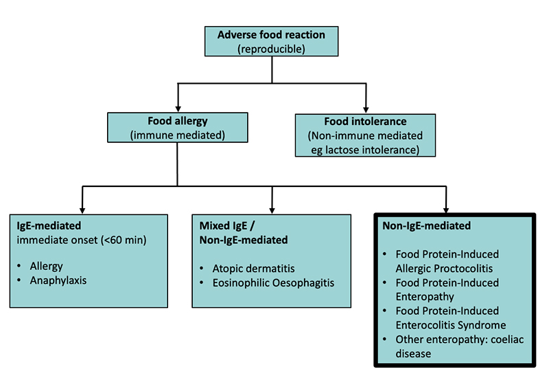 Food allergy - IgE mediated food allergy