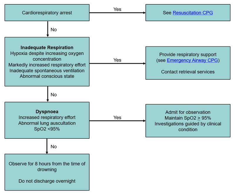 Arc Basic Life Support Flow Chart