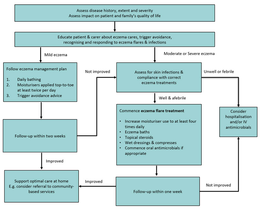 Clinical Practice Guidelines Eczema