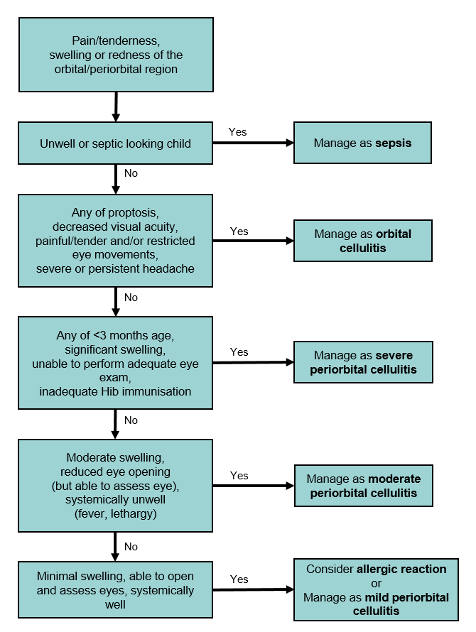 Periorbital and orbital