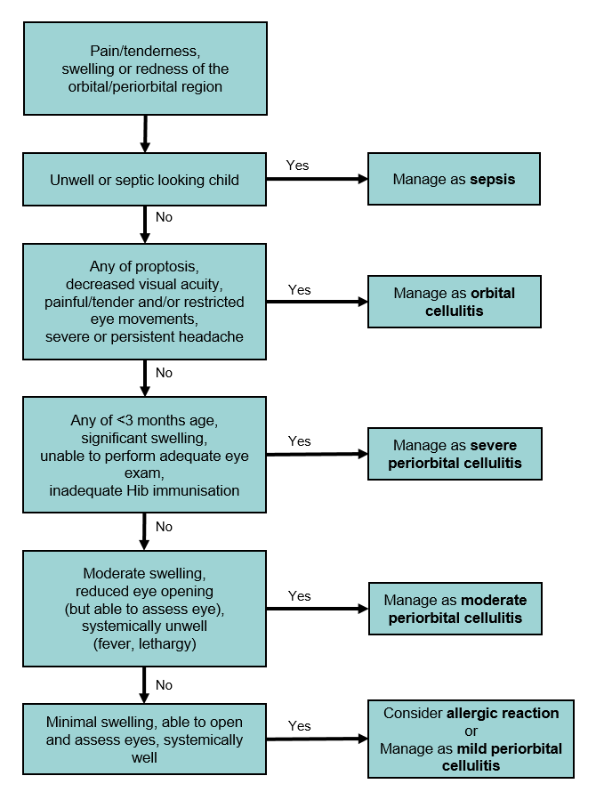 Cellulitis Treatment Cellulitis Treatment