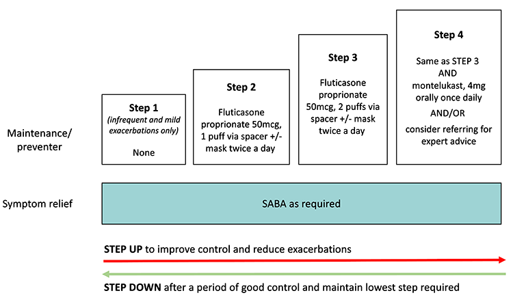 Adapted from Australian Asthma Handbook