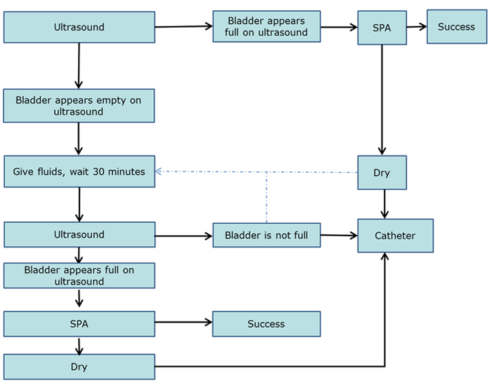 Urine Flow Chart