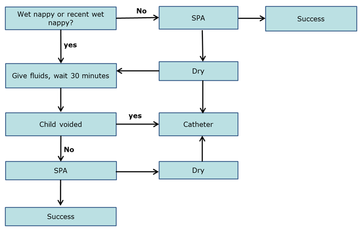 Urine Flow Chart