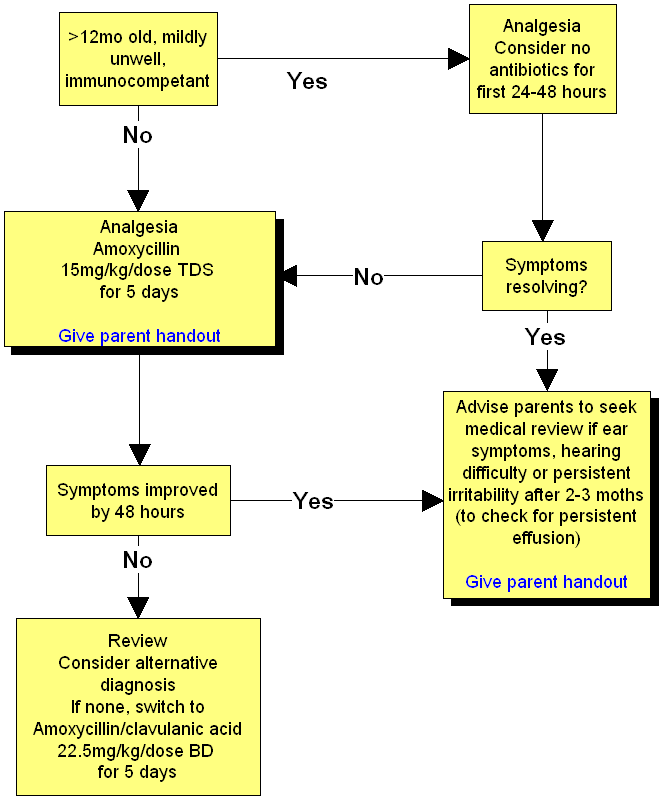 flowchart guidelines clinical practice guidelines acute otiis media flowchart flowchart guidelines clinical practice guidelines acute otiis media flowchart