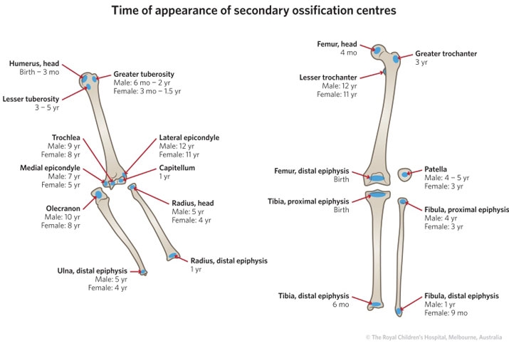 Growth Plate Closure Chart