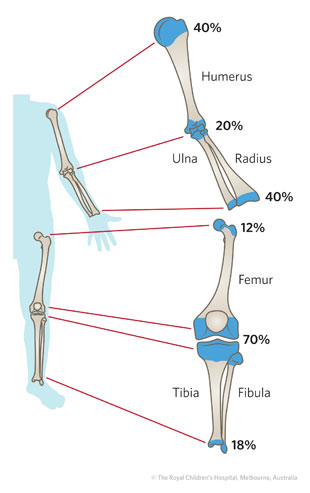 Growth Plate Closure Chart