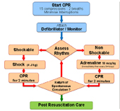 ICU Card Flow Chart image