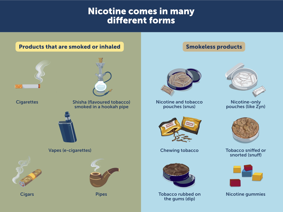 Illustration of types of nicotine products Illustration of different types of nicotine products; left-hand side is products that are smoked or inhaled, and right-hand side is smokeless products