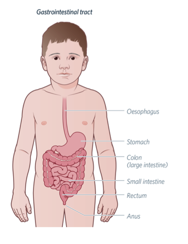 colonic-manometry