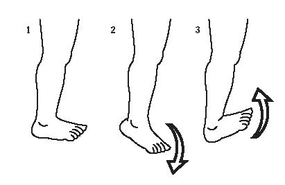 Limb Reconstruction (LR) : Physiotherapy below the knee - exercises ...