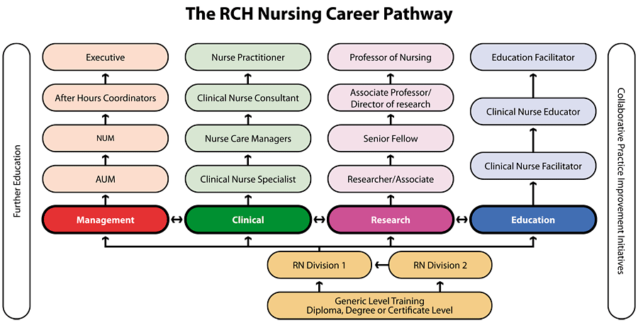 Nursing Services Nursing Career Pathway