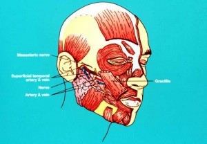 Figure 7 facial palsy image