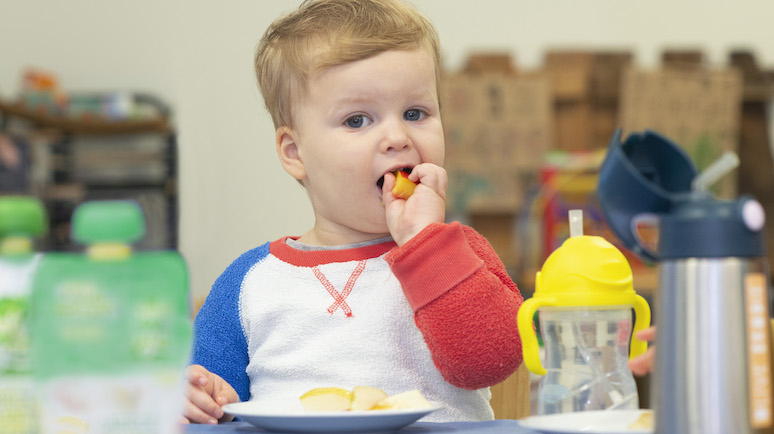 Ready-made baby foods: Do parents know the facts?