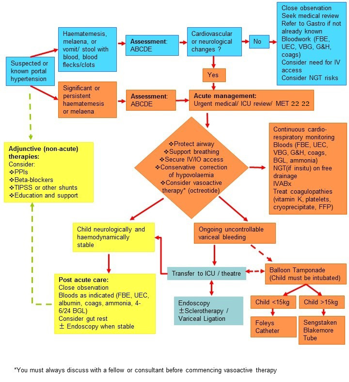 Acute Management of Oesoph Algorithm