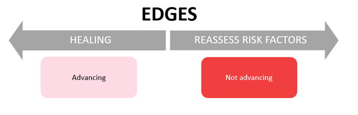 Wound Assessment Edges 2023