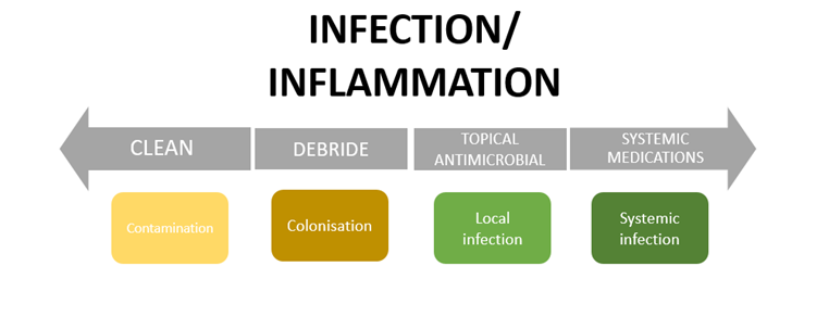 wound care dressing categories