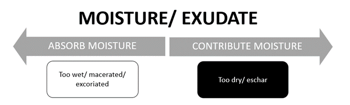 Wound Assessment Moisture 2023