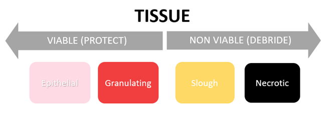 Wound Assessment Tissue 2023
