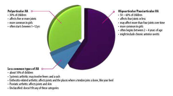 Pie Chart