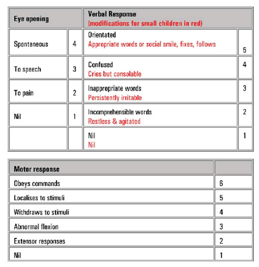Trauma Service Head injury